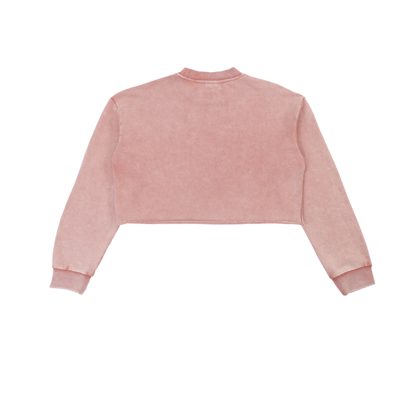 DIDI Season 2 Snow Washed Raw Edge Cropped Sweatshirt