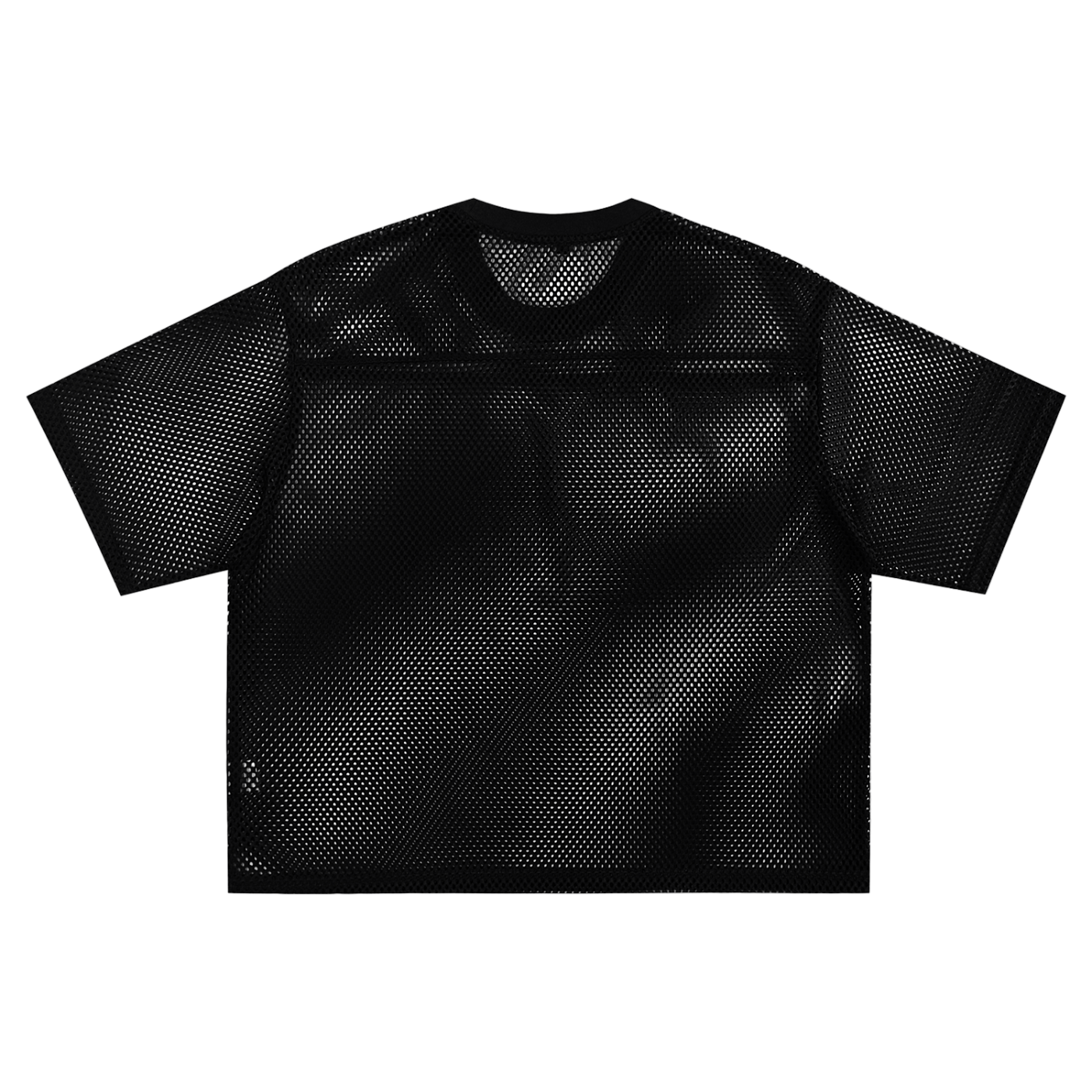 Aonaran 1 OFF See-through Boxy Net T-shirt