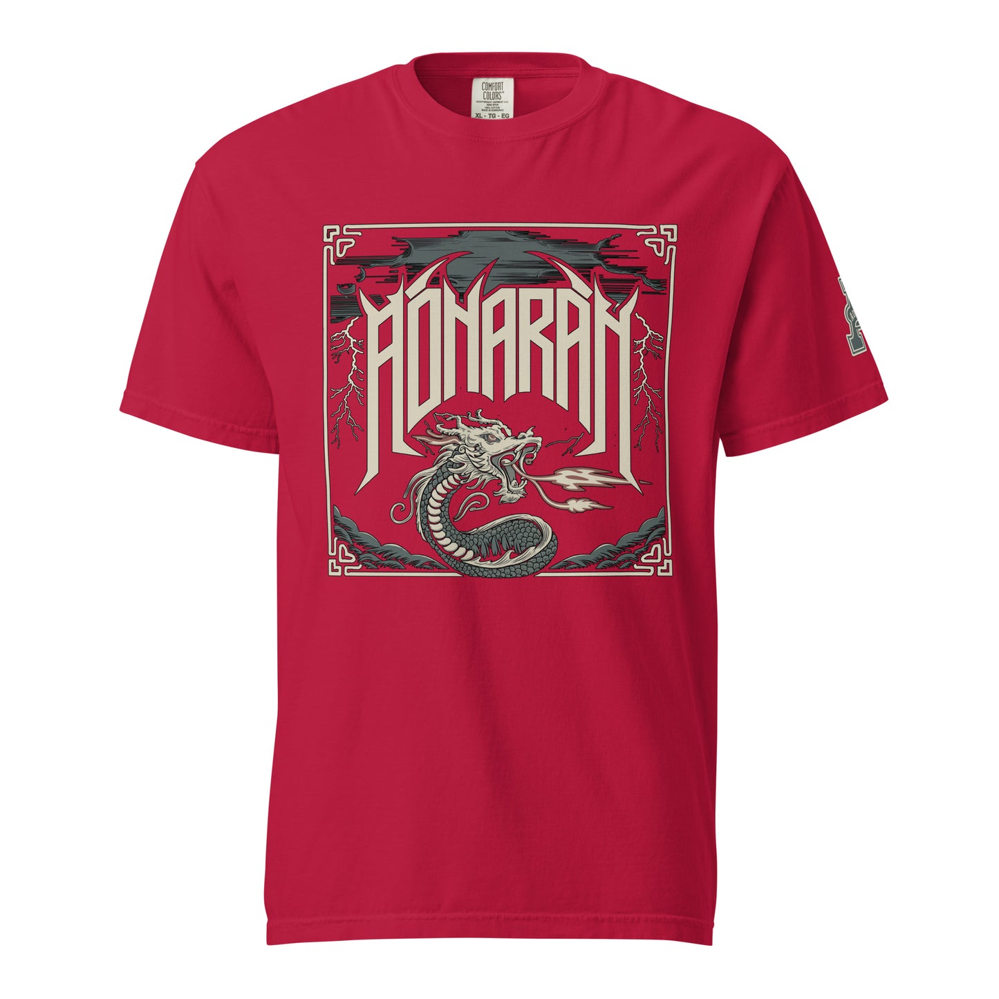 DS1 Unisex t-shirt