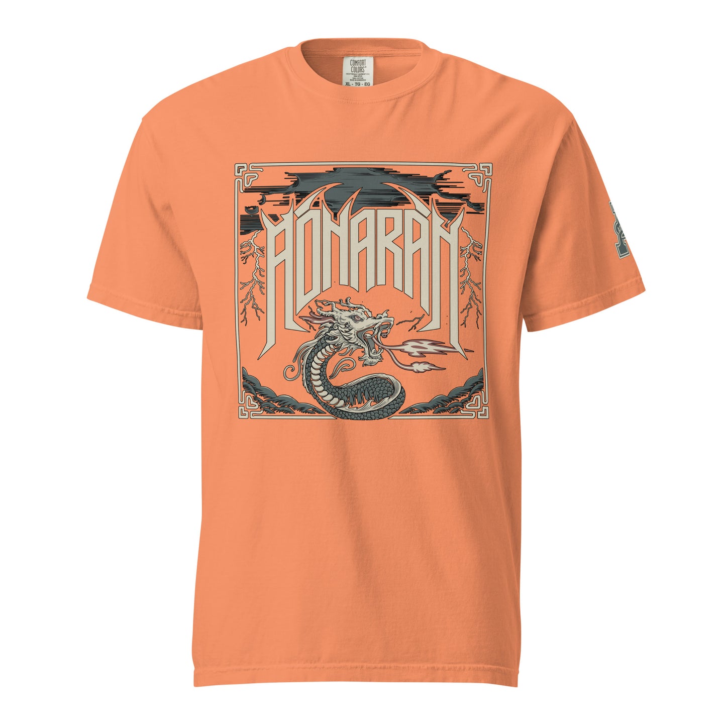 DS1 Unisex t-shirt
