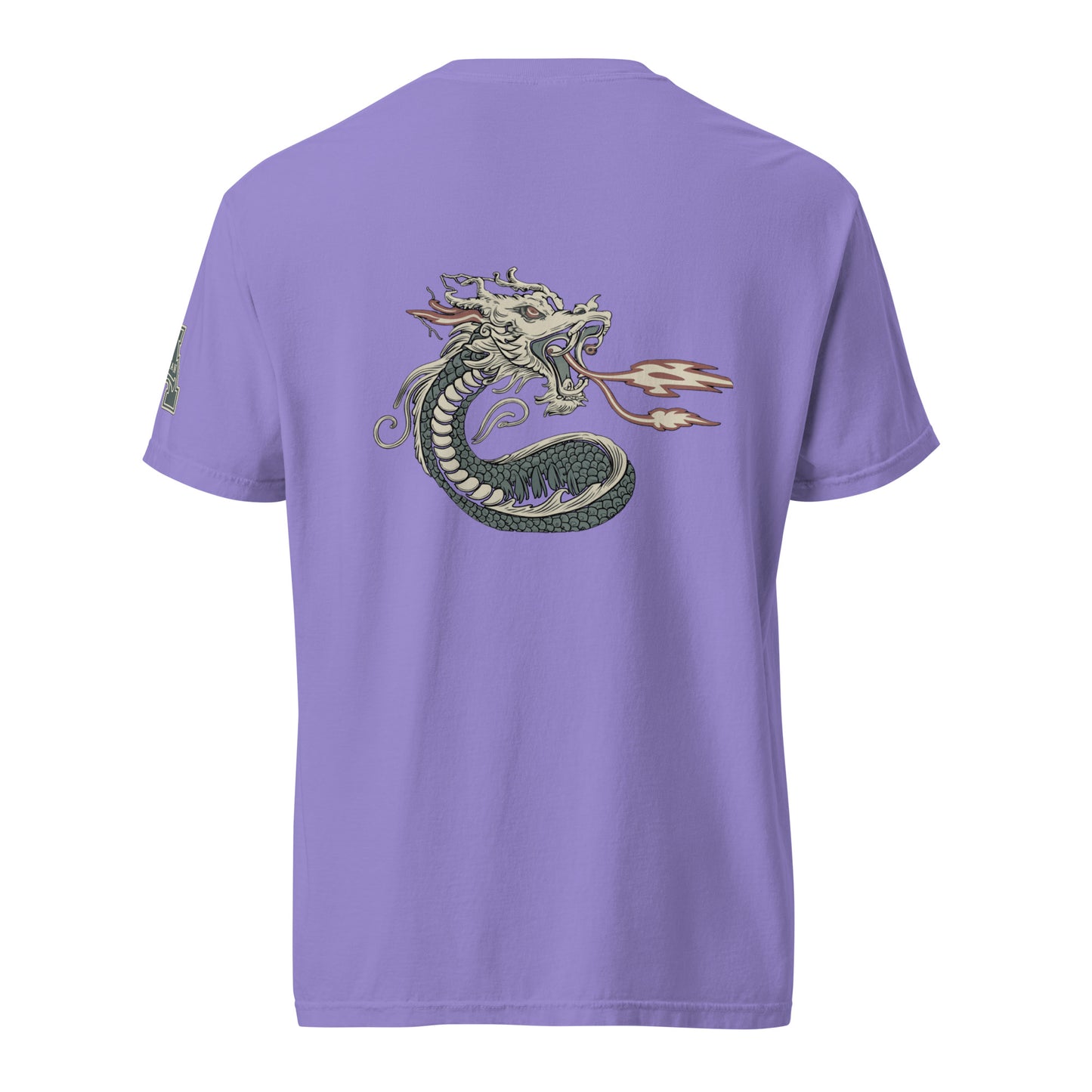 DS1 Unisex t-shirt