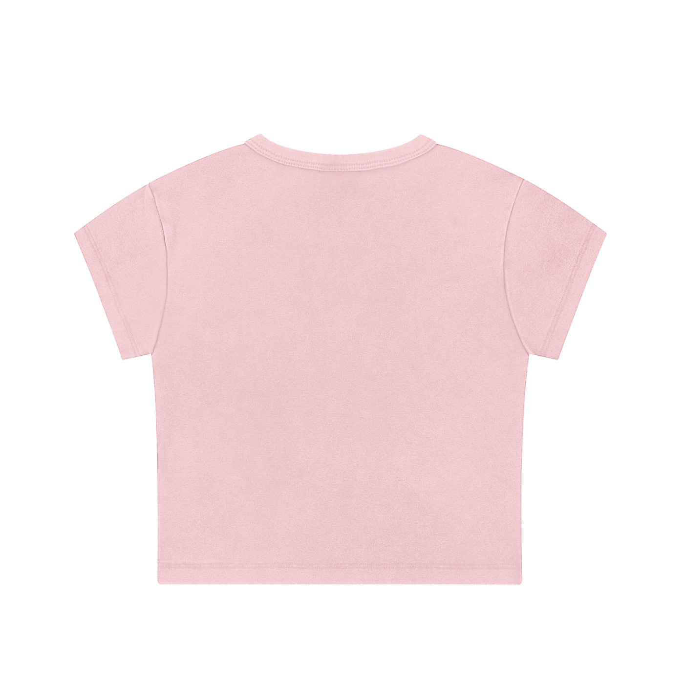BadWolfRose Snow Washed Crop Top