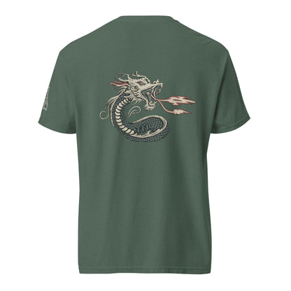 DS1 Unisex t-shirt