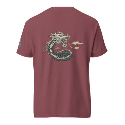 DS1 Unisex t-shirt