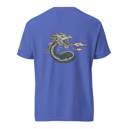 DS1 Unisex t-shirt