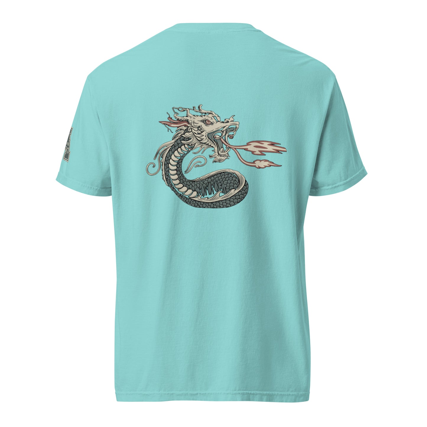 DS1 Unisex t-shirt