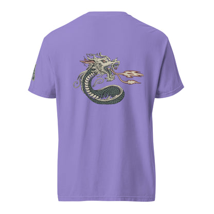 DS1 Unisex t-shirt